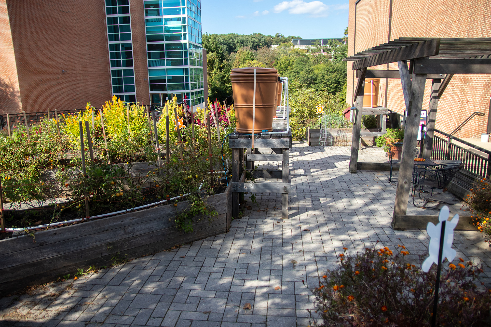 Community Learning Garden