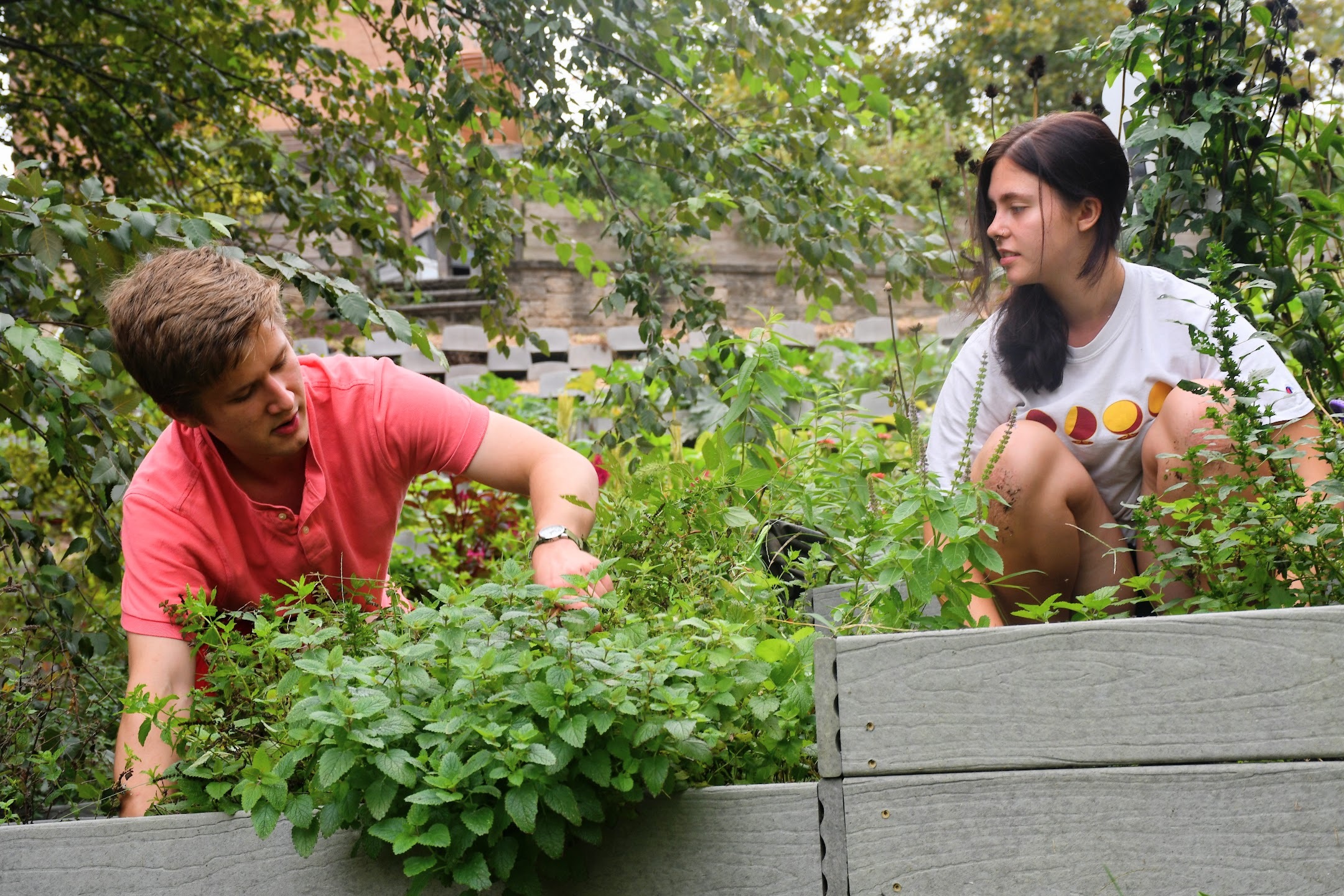 Community Learning Garden