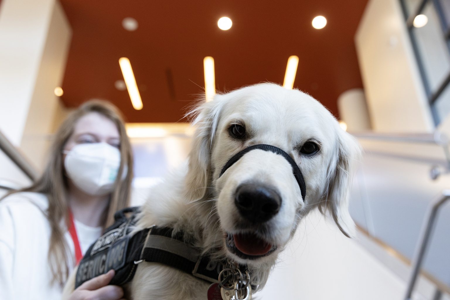 UMD students with assistance animals call for better etiquette around