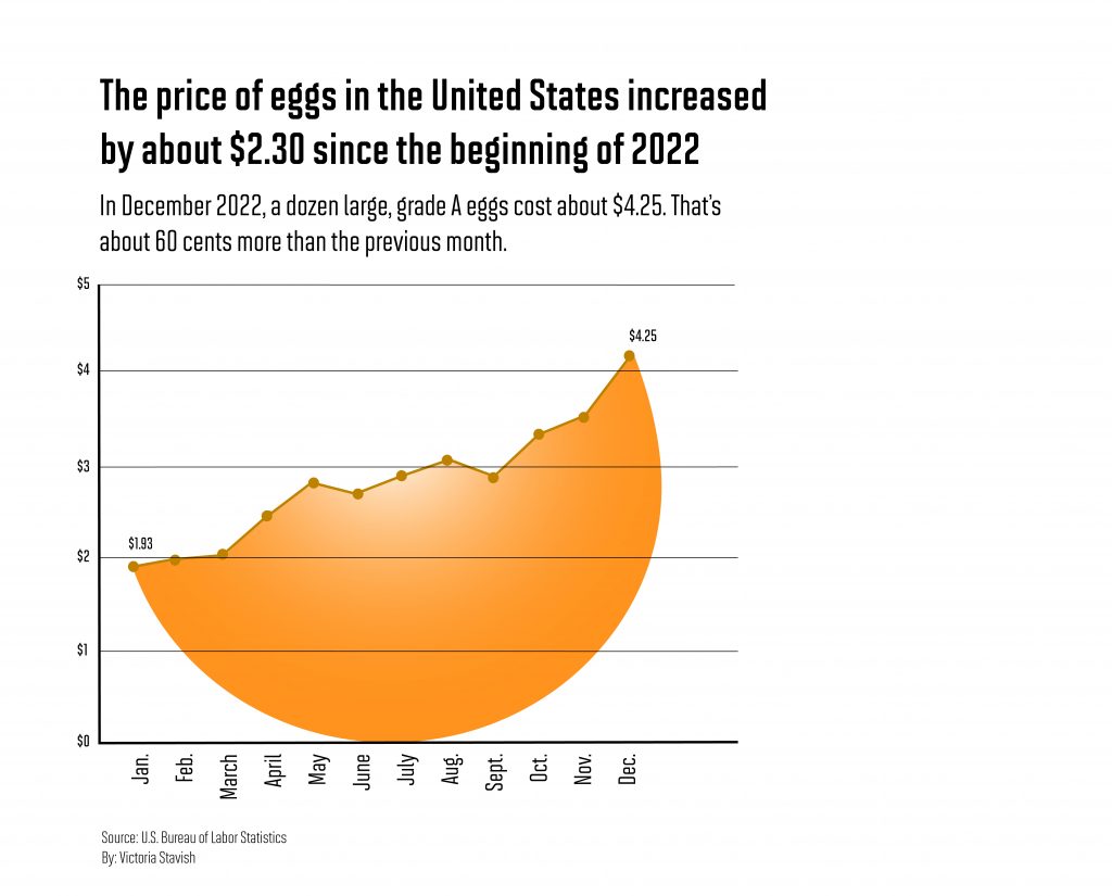 Eggs-traordinary prices: Here’s how egg shortages are affecting UMD