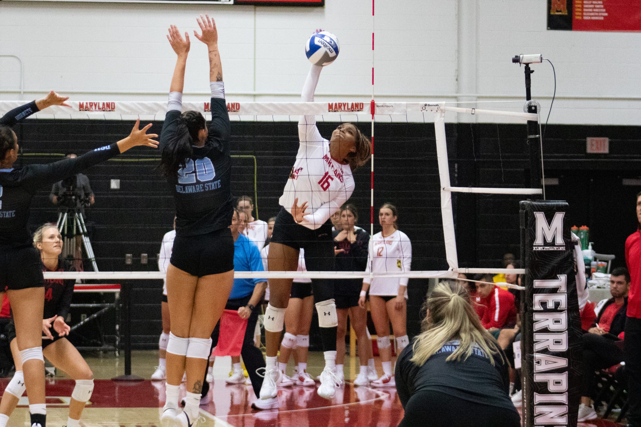 Maryland volleyball extends win streak to 6 with 31 win over Delaware