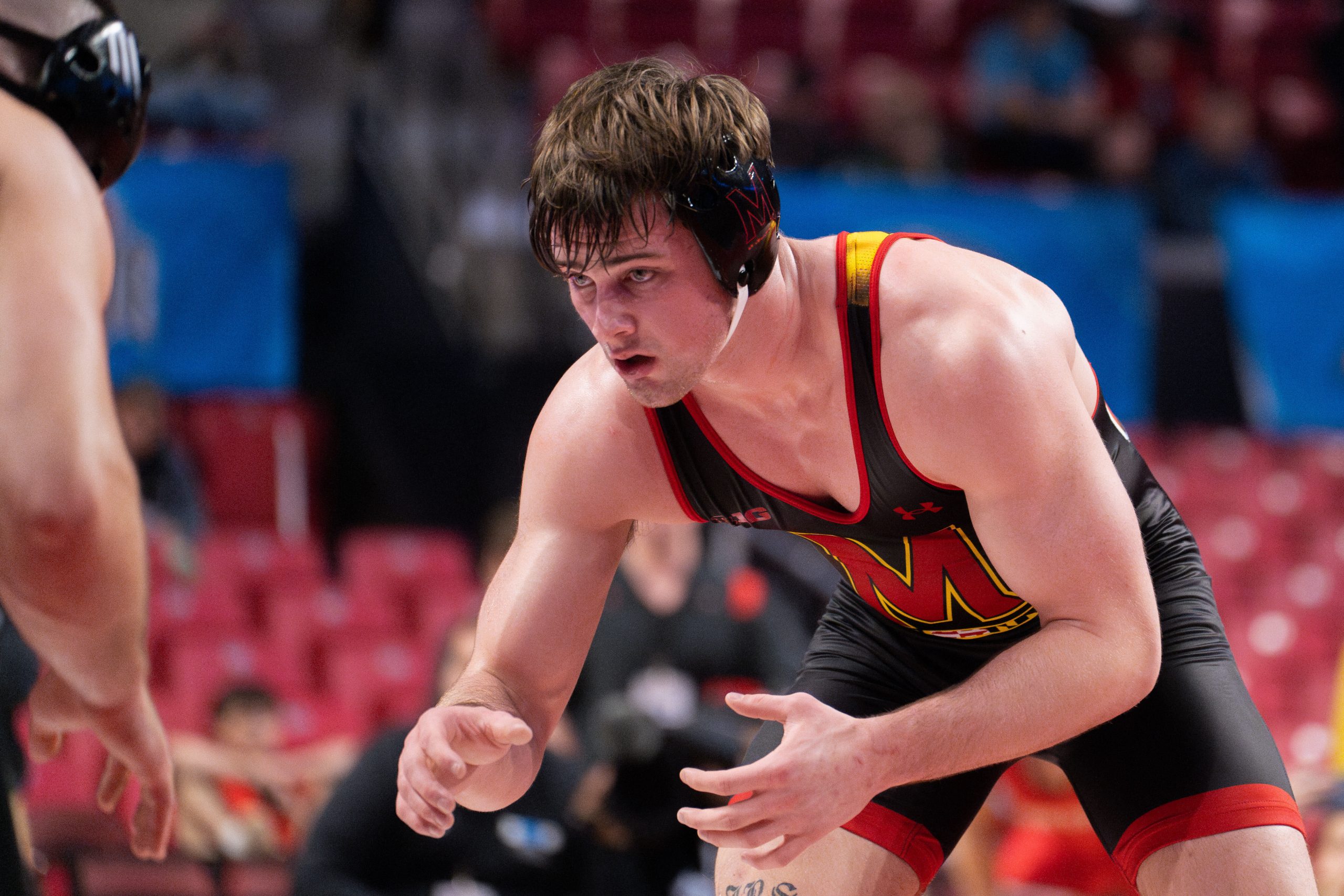 Maryland wrestling wins first 2 duals over Gardner-Webb, The Citadel