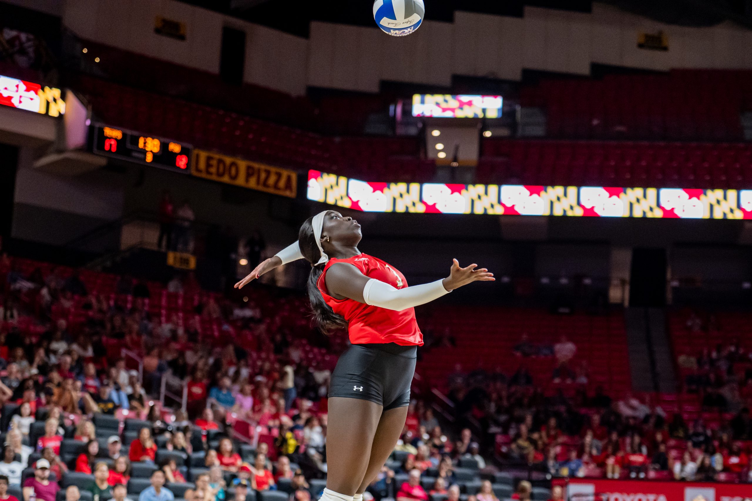 From Hawaii to College Park, Ajack Malual found a home with Maryland volleyball