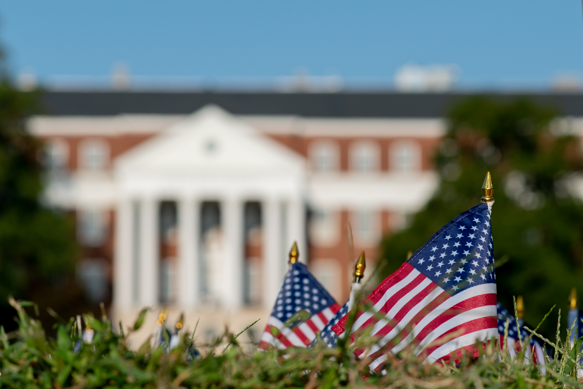 Pledge allegiance to the flag, not the US President